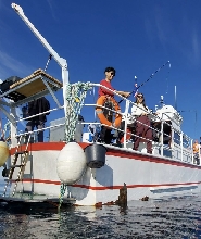 雷克雅維克海釣美食體驗
