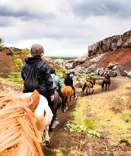 在雷克雅維克紅熔岩山體驗騎馬