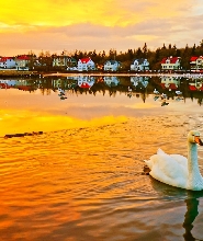 雷克雅維克夜間遊：地標巡禮 & 海岸風情私人導覽