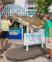 基韋斯特水族館門票