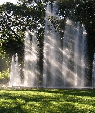 達爾文市區探索之旅