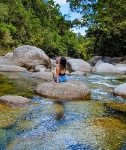 戴恩樹雨林＆莫斯曼峽谷＆野生動物探索之旅
