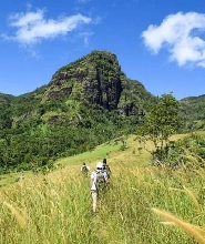 科羅亞尼圖國家遺產公園斐濟之旅