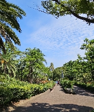 濟州翰林公園門票