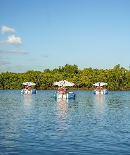 丹娜努斐濟環保電動自駕BBQ遊船