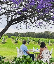 獵人谷卡萊斯酒莊品酒體驗