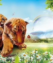 杭州野生動物世界門票