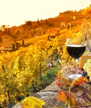 【佛羅倫斯出發】西恩納&奇揚地葡萄酒莊日落之旅（含晚餐）