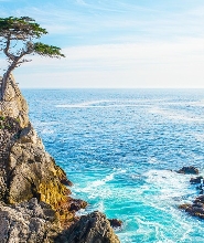 【舊金山出發】蒙特利＆卡梅爾小鎮＆17哩海岸線一日遊