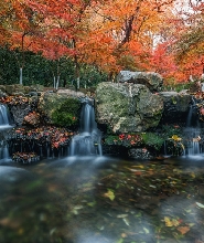 龍井問茶&滿隴桂&九溪煙樹 包車一日遊