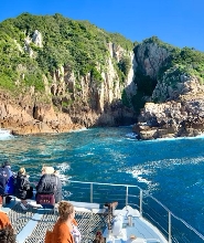 史蒂芬斯港一日遊（中文導遊）