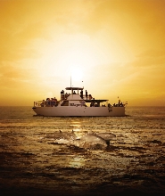 關島BIG夕陽晚餐遊船