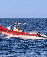 沙姆沙伊赫提蘭島浮潛巡遊