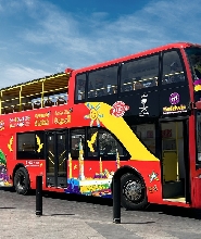 麥地那城市亮點隨上隨下巴士之旅