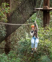中央海岸高空滑索 & 跳網體驗