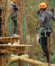 奧特維樹頂漫步2.5小時體驗