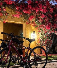 利雅得哈尼法谷全日自行車之旅