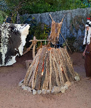 熱帶樂園一日通票