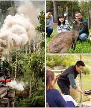 墨爾本普芬比利蒸汽火車、希爾斯維爾野生動物保護區與酒莊之旅