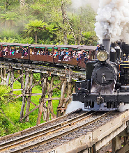墨爾本企鵝歸巢與普芬比利蒸汽小火車全日私人之旅