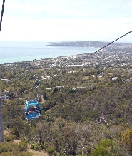 莫寧頓半島私人一日遊