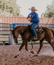 凱瑟琳道地內陸生活表演秀