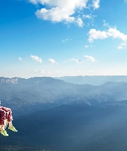 藍山羽毛谷野生動物園和風景世界一日遊