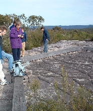 悉尼北部荒野和海岸之旅