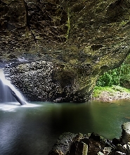 黃金海岸春溪國家公園全日遊