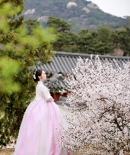 Miso Hanbok韓服租借（近昌德宮）