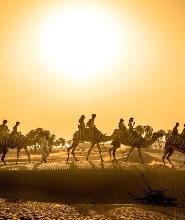 杜拜沙漠夕陽導覽探險