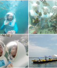 濟州HAMO海底漫步體驗