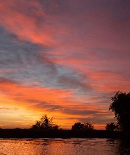 達爾文日落濕地2小時遊船之旅