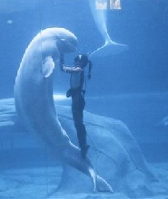 杭州長喬極地海洋公園（中國大陸身份證持有者限定）