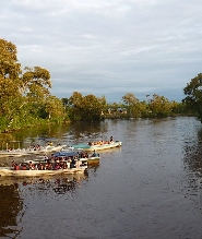山都望濕地半日導覽紅樹林巡遊