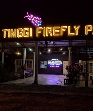 新山哥打丁宜螢火蟲河夜間之旅