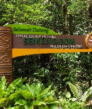 【古晉出發】實蒙谷野生動物中心半日遊