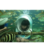 濟州海底漫步海洋生物體驗