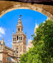 塞維亞主教座堂導覽