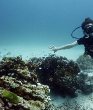 普吉島 PADI 五星潛水中心簡單潛水體驗