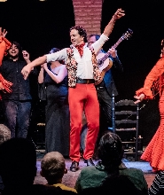 塞維利亞弗拉門戈表演（含可選購舞蹈博物館）