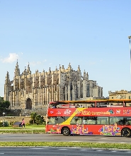 帕爾馬 City Sightseeing 隨上隨下觀光巴士之旅