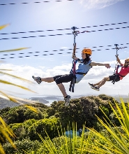 新西蘭懷希基島空中飛索＆原始森林探險之旅（3小時）