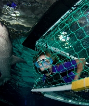 新西蘭奧克蘭凱莉塔頓水族館門票
