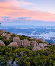 MONA遊船及威靈頓山上午之旅