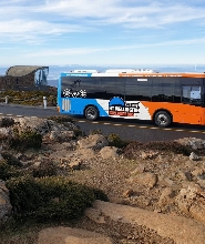 威靈頓山／庫納尼2.5小時遊覽 - 隨上隨下探索巴士