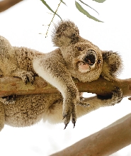 磁島西海岸生態探險之旅