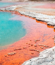 新西蘭懷奧塔普地熱世界