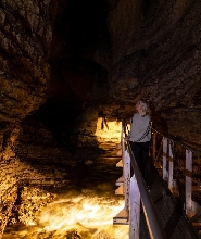 新西蘭蒂阿瑙螢火蟲洞之旅