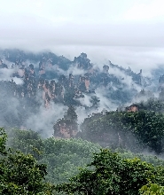 張家界國家森林公園門票